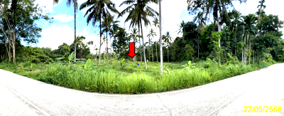 ที่ดิน รือเสาะ นราธิวาส : ที่ดินว่างเปล่า 2280.4 ตร.วา รือเสาะ นราธิวาส 1.4M
