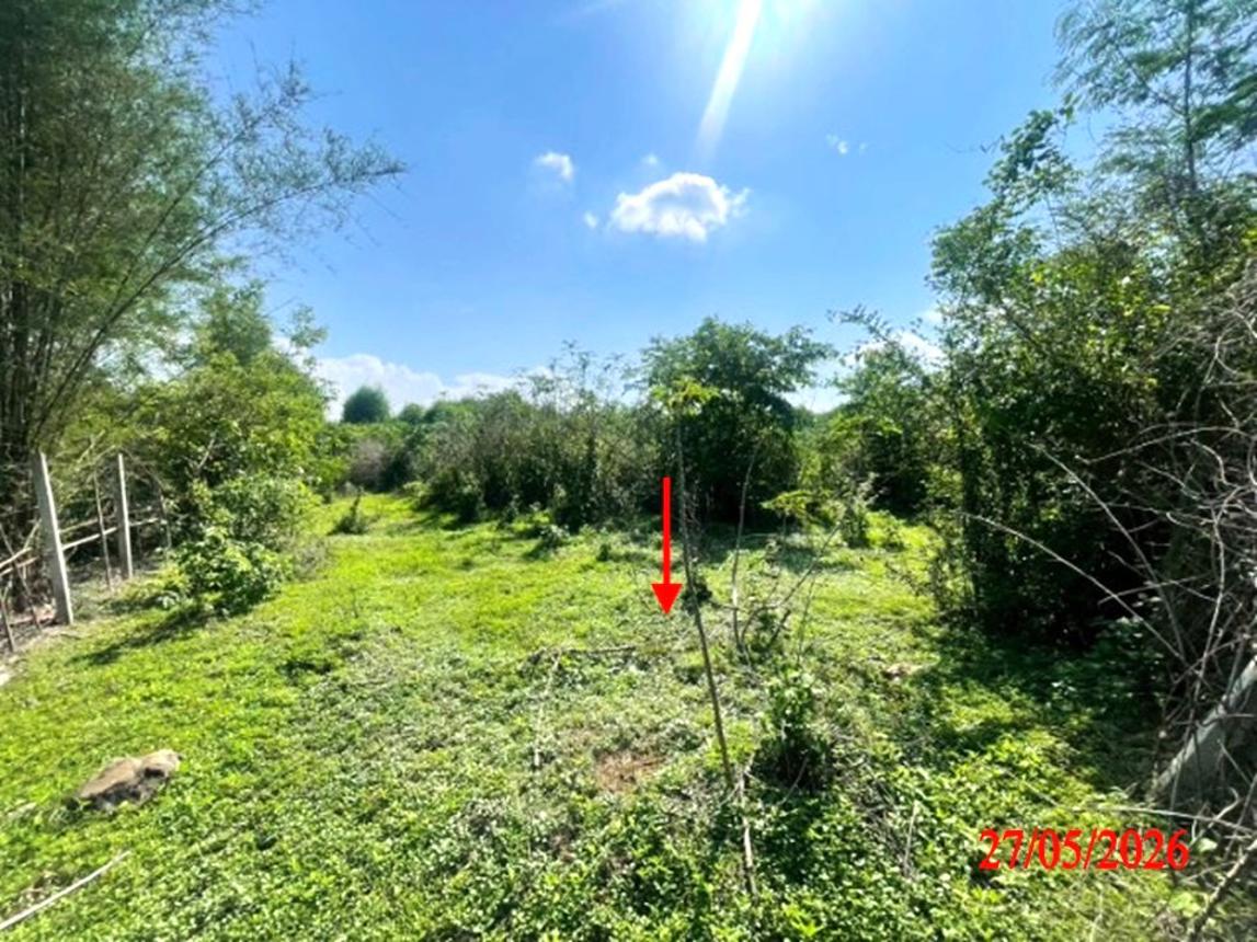 picture LAND 1812 Sq.w. Ko Kha Lamphang for 1.4M - 17/22