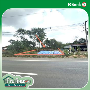 picture LAND 800 Sq.w. Nam Yun Ubon Ratchathani for 2.8M - 14/16