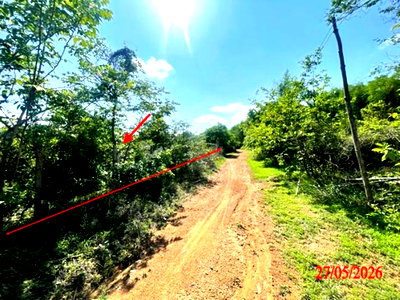 ที่ดินว่างเปล่า 1812 ตร.วา เกาะคา ลำปาง 1.4M