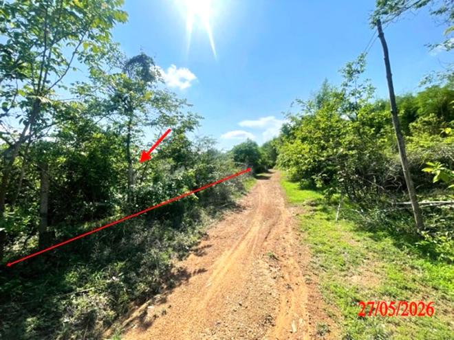 picture LAND 1812 Sq.w. Ko Kha Lamphang for 1.4M - 1/22