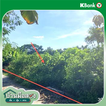 รูป ที่ดินว่างเปล่า 129 ตร.วา แม่ลาว เชียงราย 516,000 - รูปที่ 12/14
