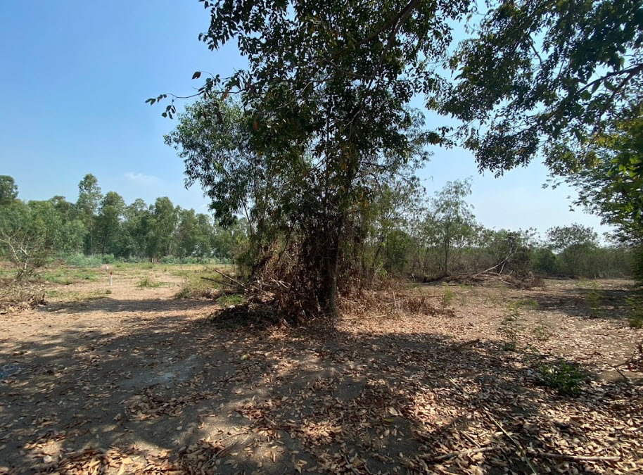 picture LAND 1596.8 Sq.w. Bang Sai Phra Nakhon Sri Ayutthaya for 2.7M - 5/8
