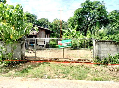 บ้านเดี่ยว 288 ตร.วา แม่จัน เชียงราย 1.2M