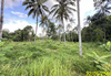 listing thumbnail image 10