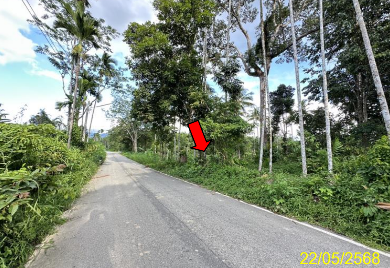รูป ที่ดินว่างเปล่า 2280.4 ตร.วา รือเสาะ นราธิวาส 1.4M - รูปที่ 12/18