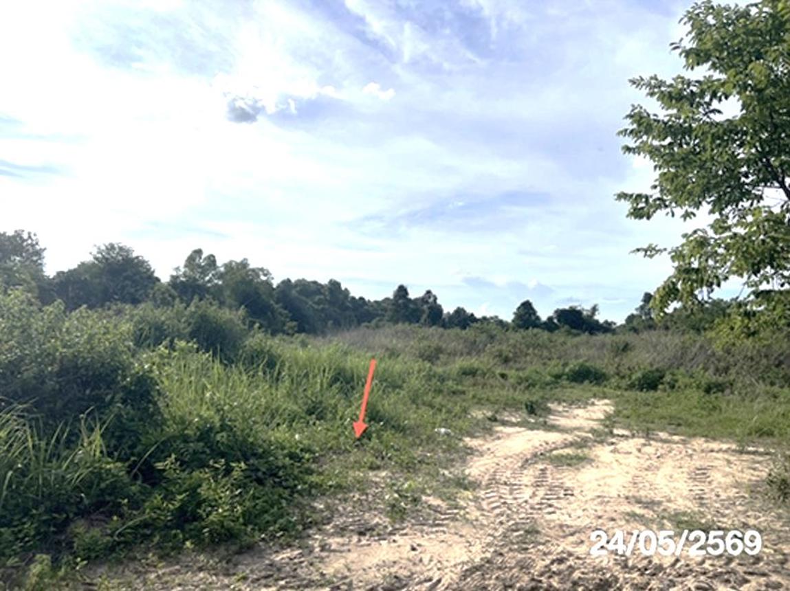picture LAND 5451.5 Sq.w. Na Chaluai Ubon Ratchathani for 12M - 16/24