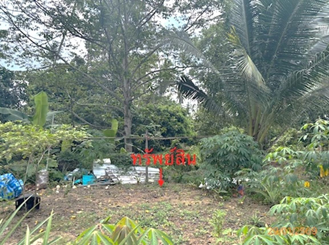 picture LAND 50 Sq.w. Ko Samui Surat Thani for 750,000 - 13/20