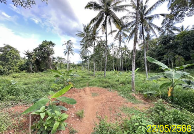 รูป ที่ดินว่างเปล่า 2280.4 ตร.วา รือเสาะ นราธิวาส 1.4M - รูปที่ 3/18