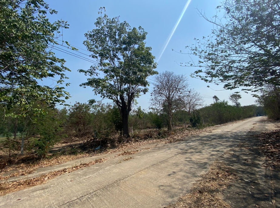 picture LAND 1596.8 Sq.w. Bang Sai Phra Nakhon Sri Ayutthaya for 2.7M - 3/8