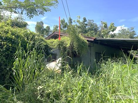 รูป บ้านเดี่ยว 965 ตร.วา หล่มสัก เพชรบูรณ์ 1.4M - รูปที่ 21/24