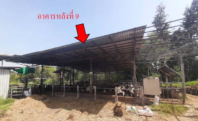 picture FACTORY 12981 Sq.w. Muang Surin Surin for 14.6M - 20/24