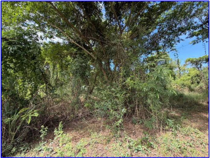 picture LAND 6000 Sq.w. Muang Nong Bua Lam Phu Nong Bua Lam Phu for 7M - 7/9