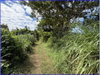 listing thumbnail image 5