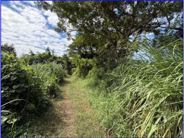 picture LAND 6000 Sq.w. Muang Nong Bua Lam Phu Nong Bua Lam Phu for 7M - 6/9