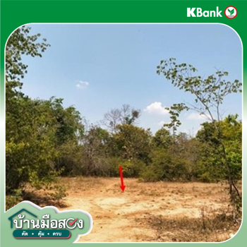 picture LAND 6783 Sq.w. Non Sang Nong Bua Lam Phu for 1.4M - 14/16