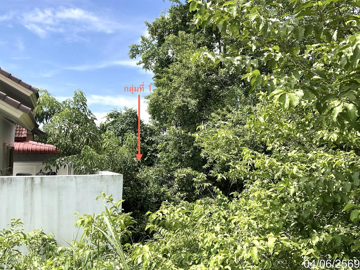 picture LAND 171.9 Sq.w. Muang Uthai Thani Uthai Thani for 627,000 - 6/12