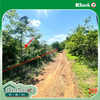 listing thumbnail image 19