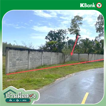 รูป ที่ดินว่างเปล่า 768 ตร.วา เมืองพัทลุง พัทลุง 2.7M - รูปที่ 12/14