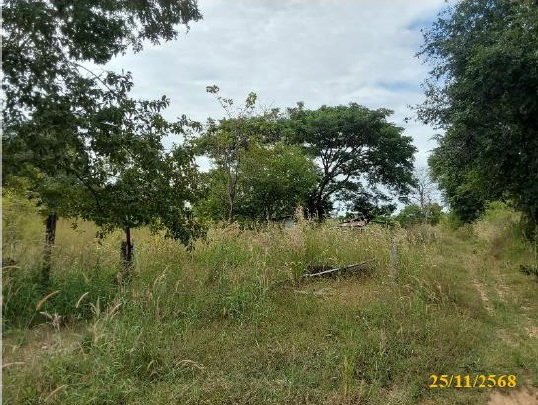 picture LAND 8125 Sq.w. Muang Nong Bua Lam Phu Nong Bua Lam Phu for 8.3M - 3/10