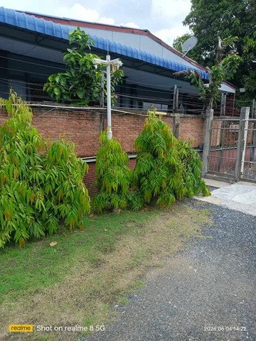 รูป ขายบ้านและที่ดิน บางพลี สมุทรปราการ เนื้อที่รวม260ตร.ว. ประกอบด้วยบ้าน2ชั้น1หลัง พื้นที่ใช้สอย 110ตร.ม. บ้านชั้นเดียว1หลัง พื้นที่ใช้สอย 81ตร.ม. - รูปที่ 3/17