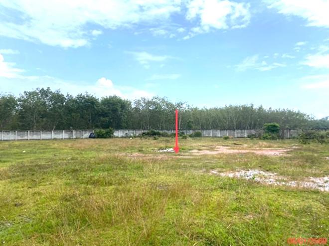 รูป ที่ดินว่างเปล่า 768 ตร.วา เมืองพัทลุง พัทลุง 2.7M - รูปที่ 5/14