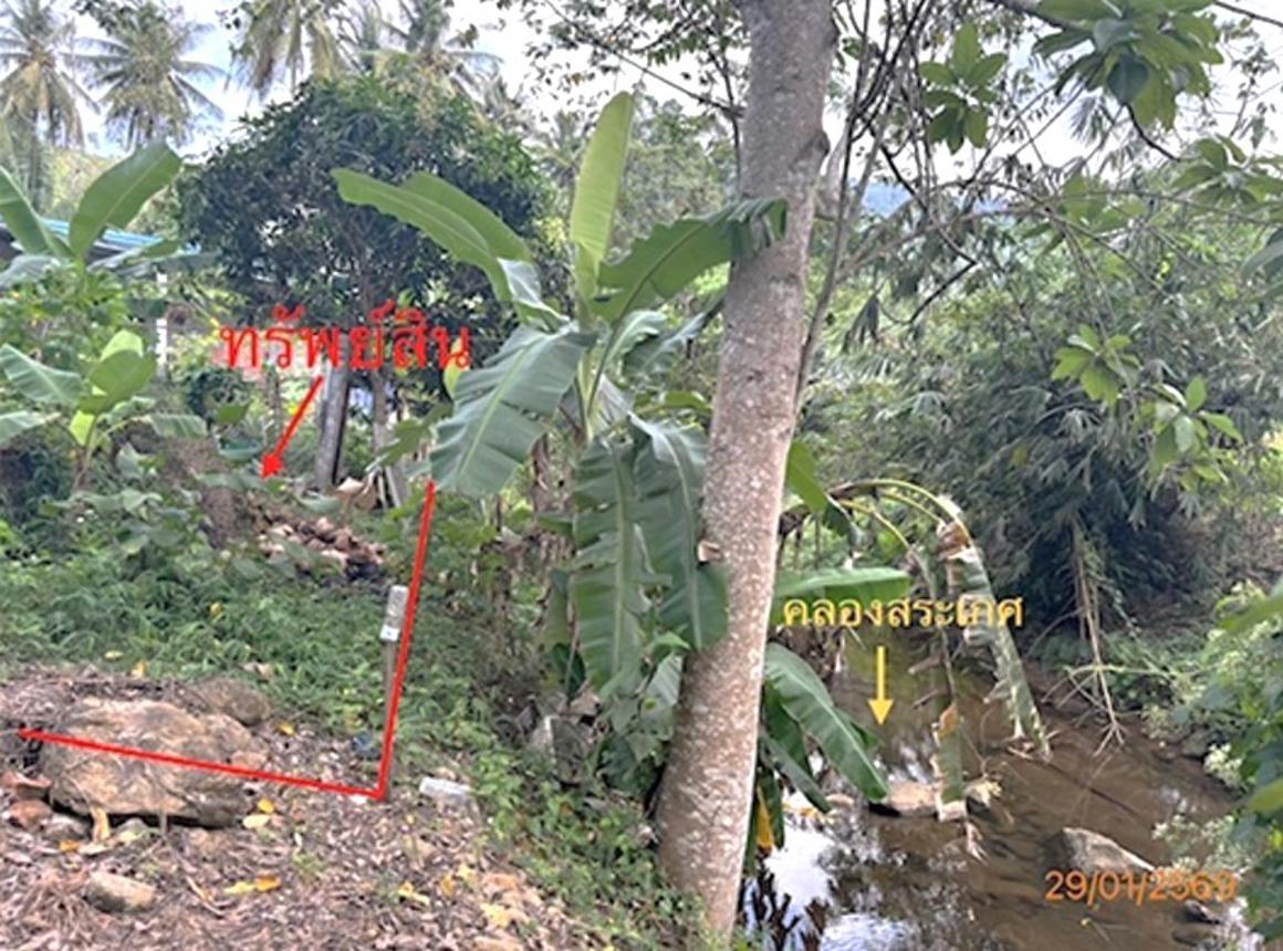 picture LAND 50 Sq.w. Ko Samui Surat Thani for 750,000 - 16/20