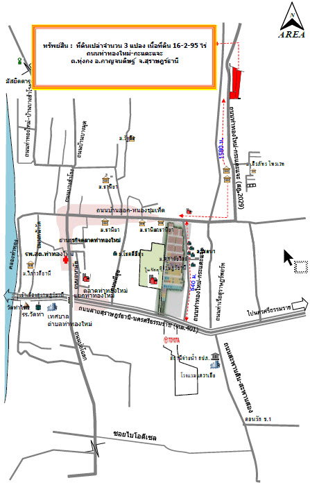 picture LAND 6695 Sq.w. Kanchanadit Surat Thani for 14.7M - 2/2