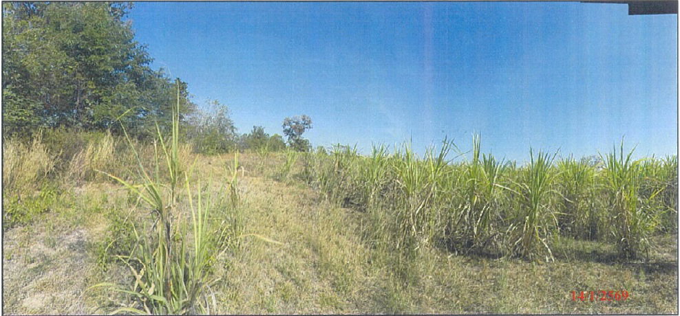 picture LAND 2246 Sq.w. Lam Plai Mat Buri Ram for 4.8M - 11/13