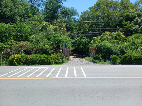 รูป ขายที่ดิน 39 ไร่ 63 ตร.ว. คลอง 12 หนองเสือ ปทุมธานี พื้นที่สีชมพู ติดถนน 4 ด้าน เหมาะลงทุน - รูปที่ 13/13