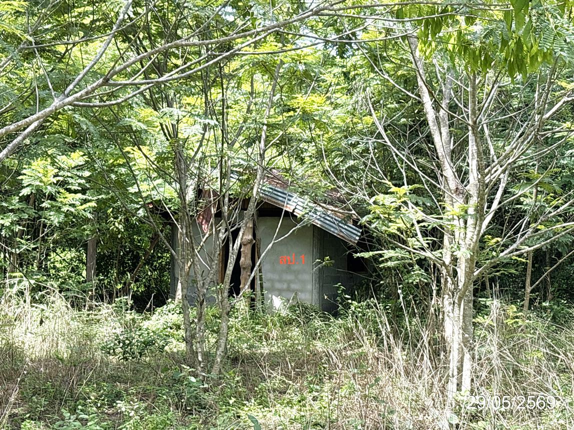 รูป บ้านเดี่ยว 398 ตร.วา เขื่องใน อุบลราชธานี 370,000 - รูปที่ 6/14