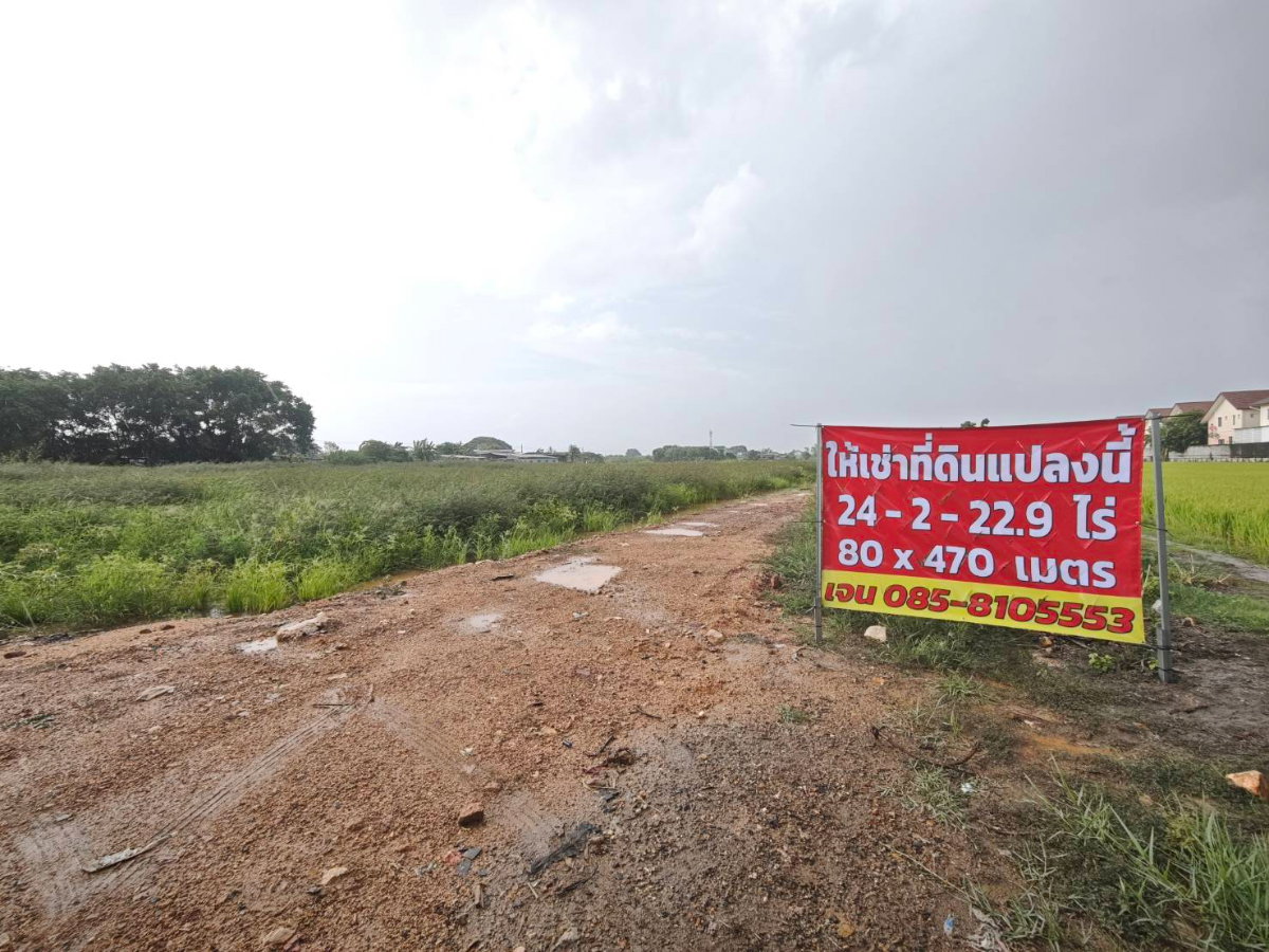 รูป ให้เช่าที่ดิน 3-30 ปี อ.ไทรน้อย 24-2-22.9 ไร่ ติดถนนคอนกรีต 4 เลน ถนนบ้านกล้วย-ไทรน้อย ทำเลดีมาก หมู่บ้านเกิดใหม่เพียบ ให้เช่าระยะยาว - รูปที่ 2/20