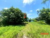 listing thumbnail image 16