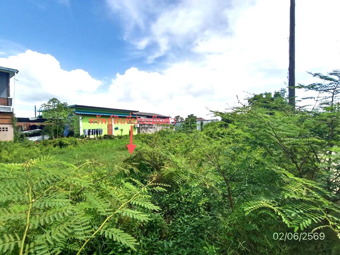 picture LAND 249 Sq.w. Singha Nakhon Songkhla for 4.5M - 13/18