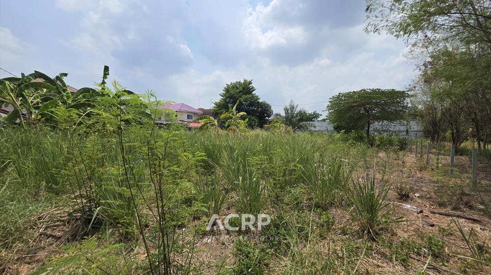 รูป ขายที่ดินซอยสรงประภา 24 เขตดอนเมือง กรุงเทพฯ (รหัสทรัพย์ 00147890) - รูปที่ 4/4