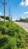 listing thumbnail image 2