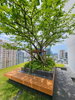 listing thumbnail image 11