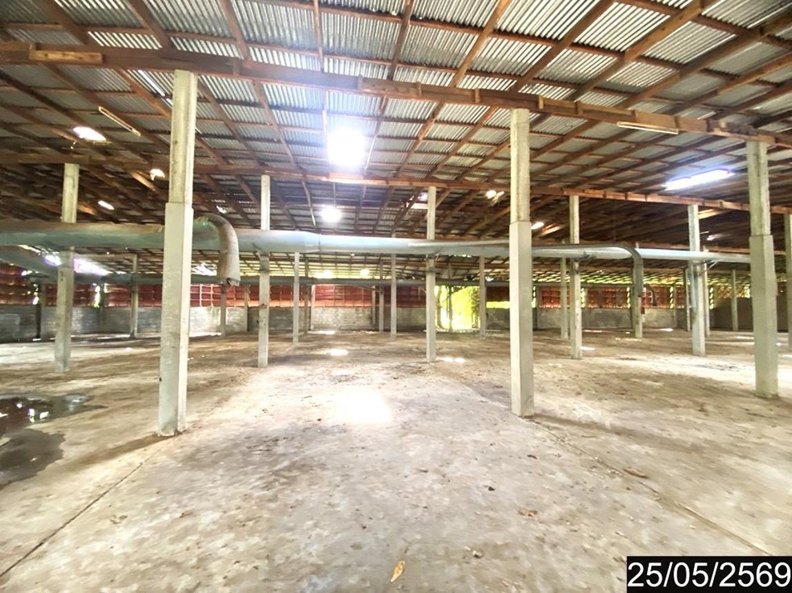 รูป โกดัง 3472 ตร.วา เมืองหนองบัวลำภู หนองบัวลำภู 22.9M - รูปที่ 11/18