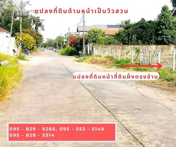 รูป ขายถูกที่ดินเท่าราคาประเมิน ถมสูงกว่าถนน 50 ซม. 98 วา ถนนกว้าง 10 ม. ซ.เอกรัตน์1 ใกล้ตลาดสัมมากรและ ม.รังสิต อ. เมือง ต. หลักหก จ.ปทุมธานี - รูปที่ 5/8