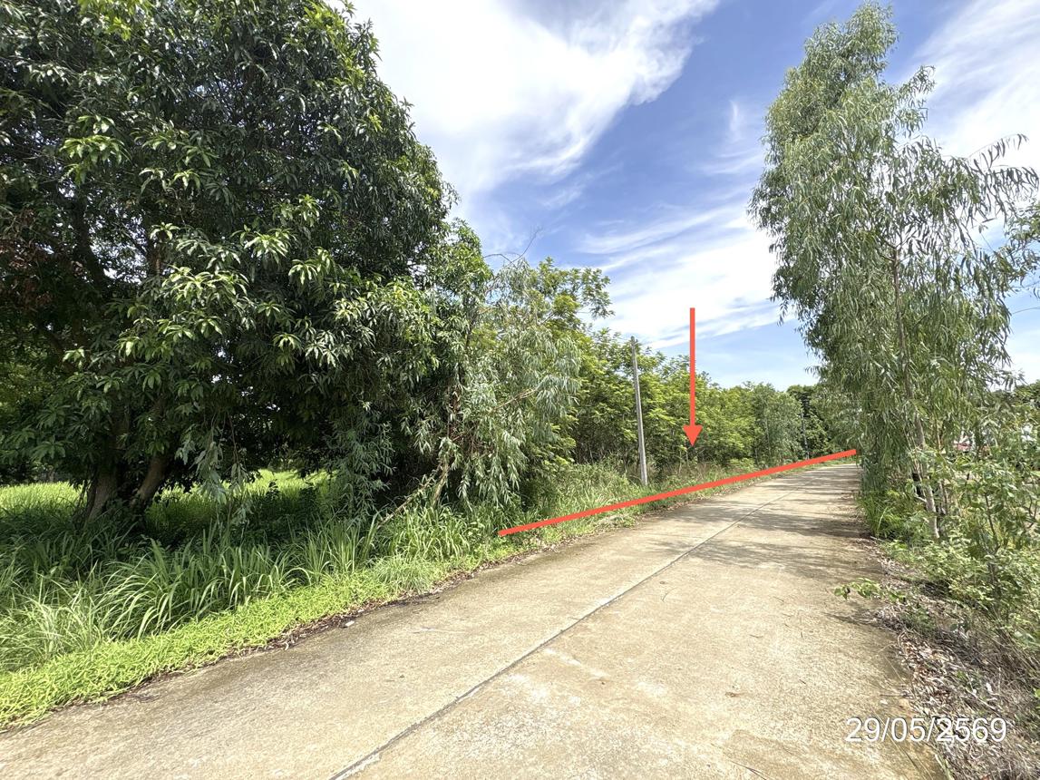 รูป บ้านเดี่ยว 398 ตร.วา เขื่องใน อุบลราชธานี 370,000 - รูปที่ 8/14