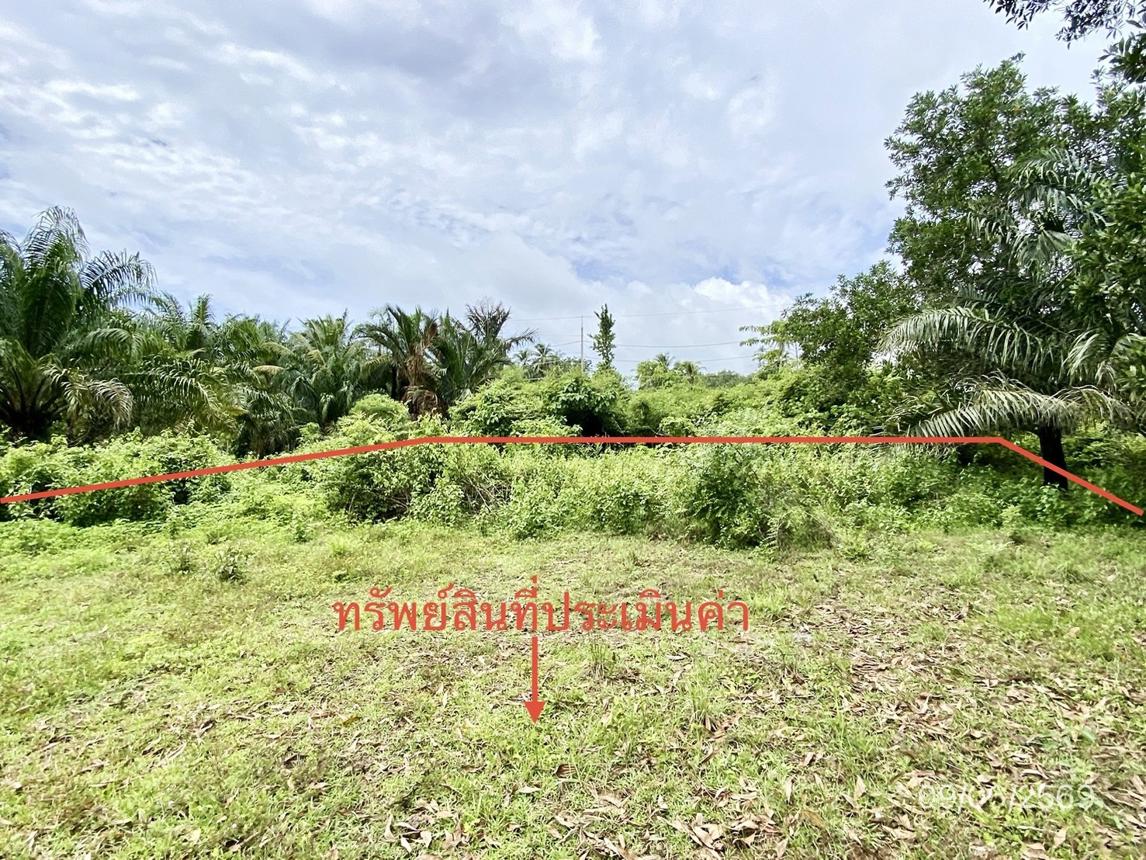 รูป ที่ดินว่างเปล่า 308.1 ตร.วา วังวิเศษ ตรัง 1.8M - รูปที่ 9/14