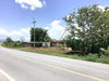 listing thumbnail image 29