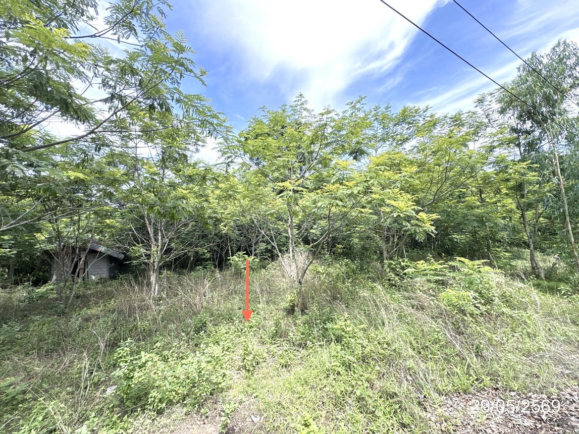 รูป บ้านเดี่ยว 398 ตร.วา เขื่องใน อุบลราชธานี 370,000 - รูปที่ 9/14