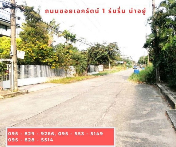 รูป ขายถูกที่ดินเท่าราคาประเมิน ถมสูงกว่าถนน 50 ซม. 98 วา ถนนกว้าง 10 ม. ซ.เอกรัตน์1 ใกล้ตลาดสัมมากรและ ม.รังสิต อ. เมือง ต. หลักหก จ.ปทุมธานี - รูปที่ 3/8