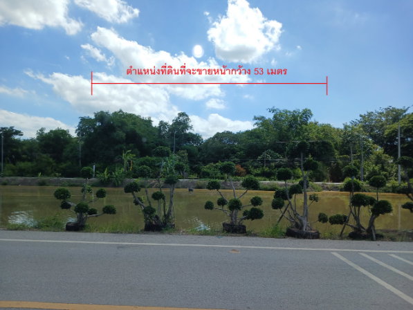 รูป ขายที่ดิน 39 ไร่ 63 ตร.ว. คลอง 12 หนองเสือ ปทุมธานี พื้นที่สีชมพู ติดถนน 4 ด้าน เหมาะลงทุน - รูปที่ 6/13