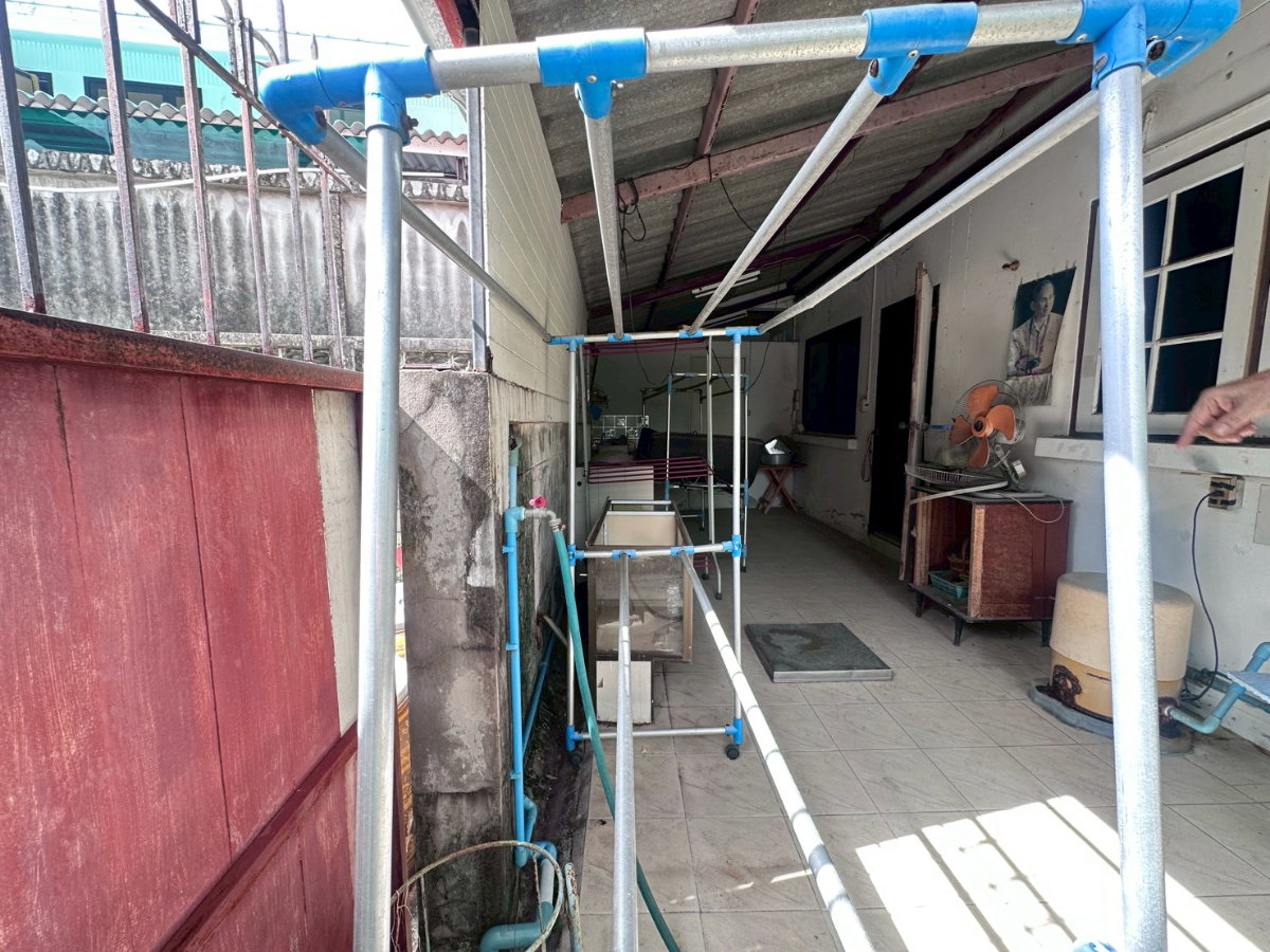 picture Single house for rent in Samet Thong Thani Village. - 12/13