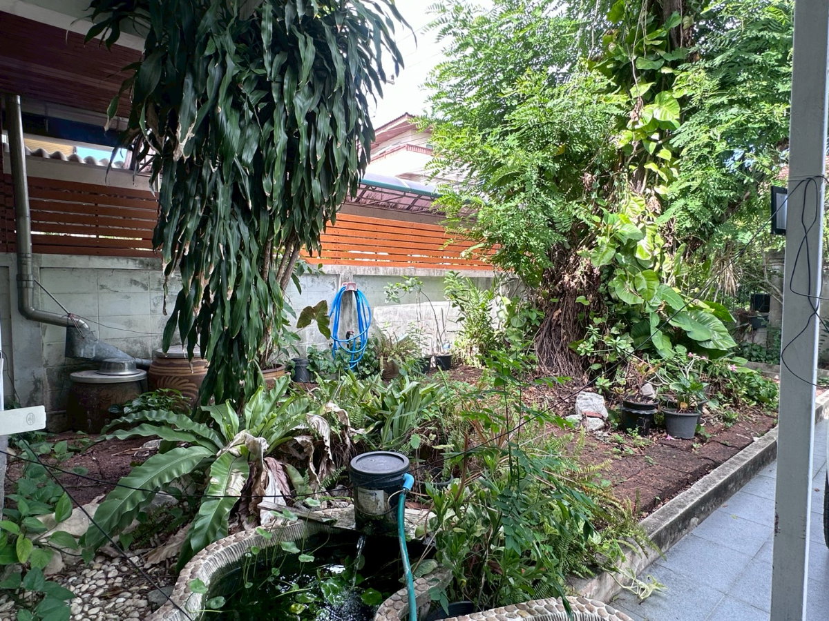 picture Single house for rent in Samet Thong Thani Village. - 13/13