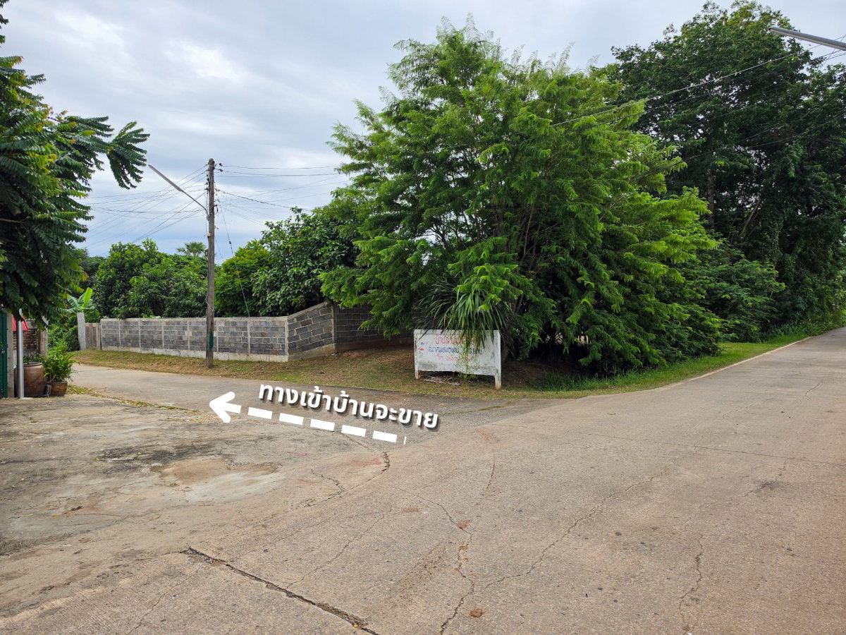 รูป ขายบ้านสวน ขอนแก่น บนที่ดิน 100 ตร.วา ใกล้บึงทุ่งสร้าง | 3 ห้องนอน - รูปที่ 4/13