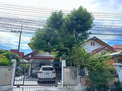 รูปภาพ ให้เช่าบ้านเดี่ยว หมู่บ้านเสม็ดทองธานี 