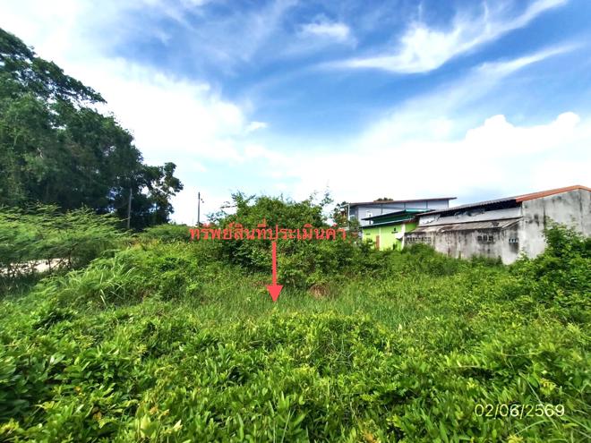 picture LAND 249 Sq.w. Singha Nakhon Songkhla for 4.5M - 5/18